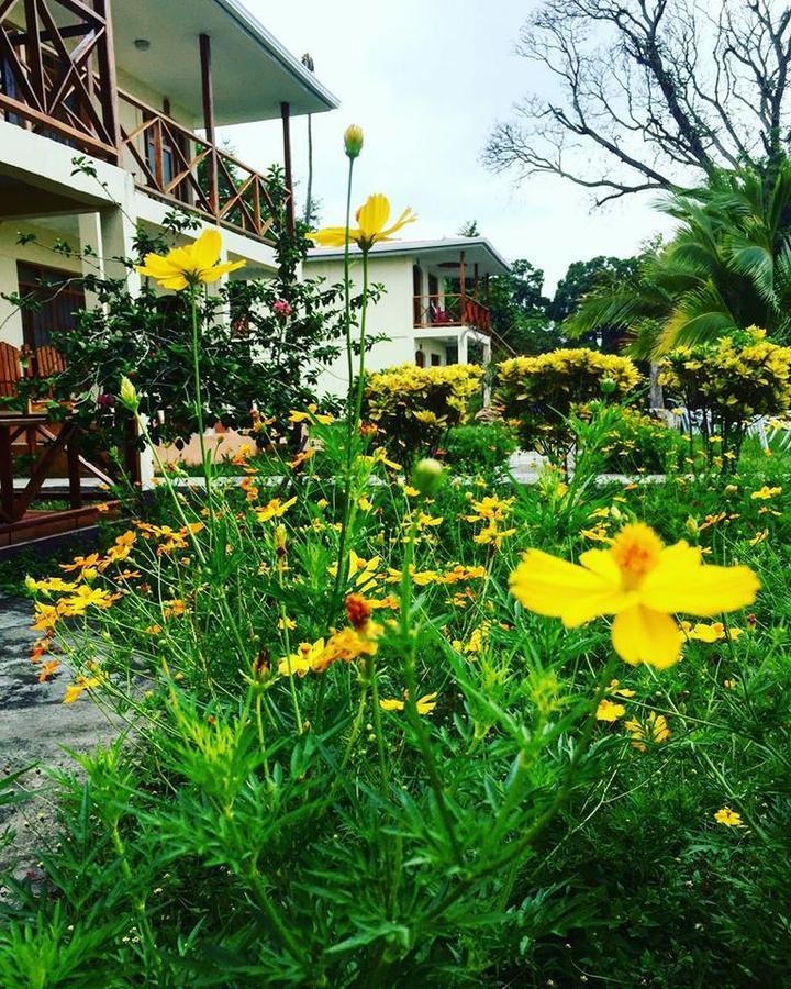 Hotel Finca Playa Venecia リバス エクステリア 写真