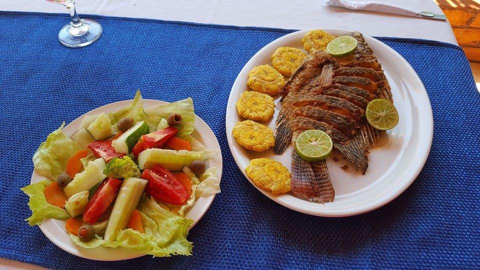 Hotel Finca Playa Venecia リバス エクステリア 写真